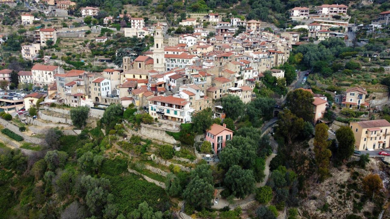 U Ciousu By Ligurian Life Appartamenti In Agriturismo Vallebona Екстер'єр фото